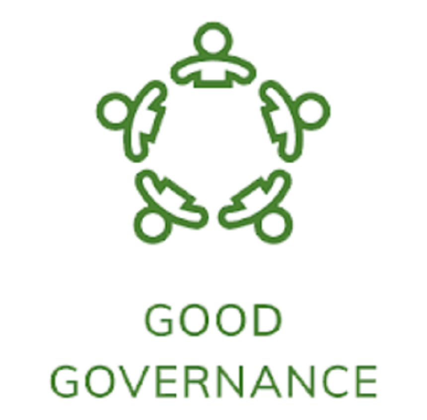 Качество государственного управления. Good Governance. Good Governance государственное управление. Non-governmental Medical Organizations.